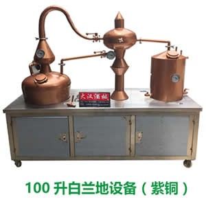 白蘭地釀酒設(shè)備，果酒蒸餾設(shè)備